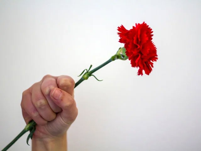blog-image