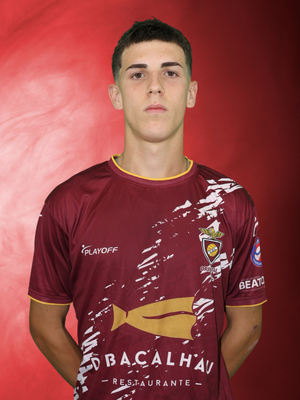 DUARTE GUERREIRO