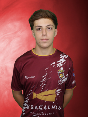MANUEL ALVES