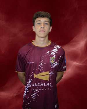 Afonso Rocha