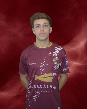 Manuel Alves